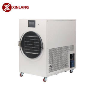 XLF10 Vacuum Freeze Dryer – Advanced Model